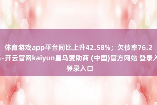 体育游戏app平台同比上升42.58%；欠债率76.21%-开云官网kaiyun皇马赞助商 (中国)官方网站 登录入口