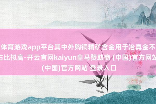 体育游戏app平台其中外购铜精矿含金用于冶真金不怕火部分占比拟高-开云官网kaiyun皇马赞助商 (中国)官方网站 登录入口