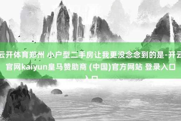 云开体育郑州 小户型二手房让我更没念念到的是-开云官网kaiyun皇马赞助商 (中国)官方网站 登录入口